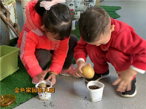 附件：IMG_7694.JPG