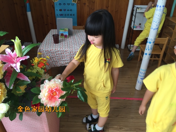附件：IMG_8062.JPG