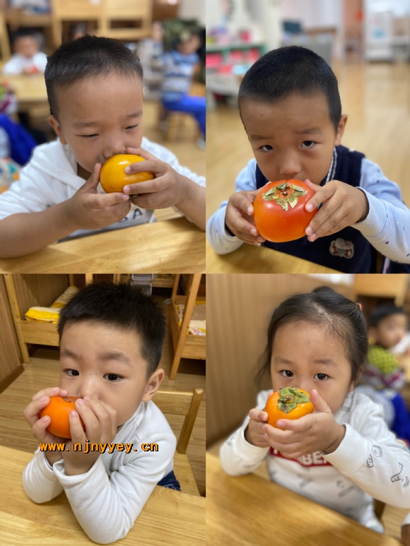 附件：IMG_9166(20221012-134900).JPG
