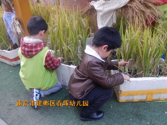 附件：conew_dscn4601.jpg
