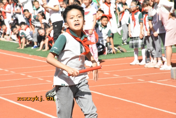 附件：DSC_1714.jpg