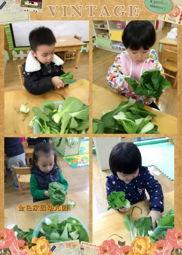 附件：3.jpg