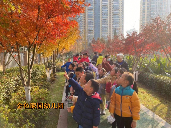 附件：微信图片_20211222152043.jpg
