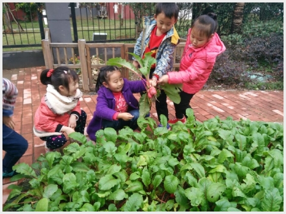 附件：-1a9e464c582400f2.jpg