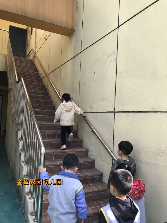 附件：IMG_6808.JPG