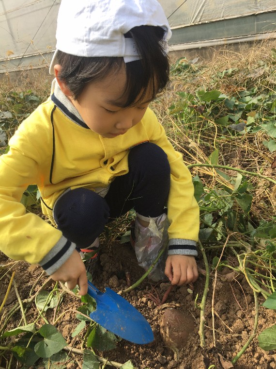 20191103163652003.jpg 微信图片_20191103163716.jpg