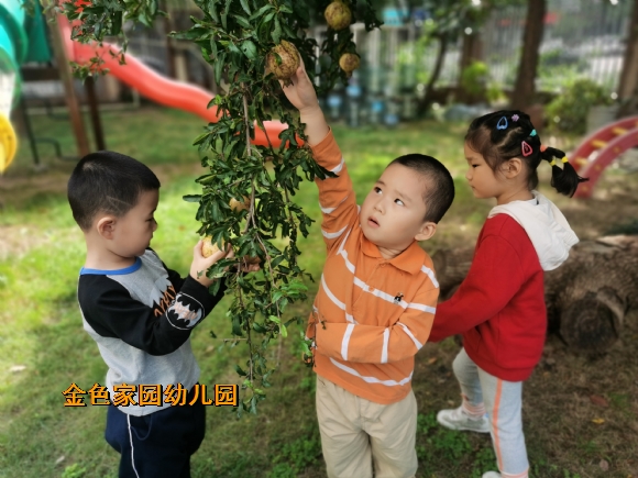 附件：QQ图片20231011163509.jpg