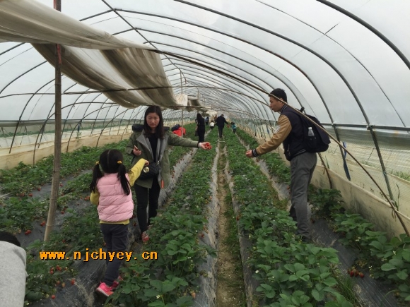附件：conew_img_0636.jpg