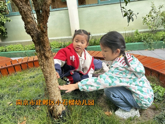 附件：4.jpg