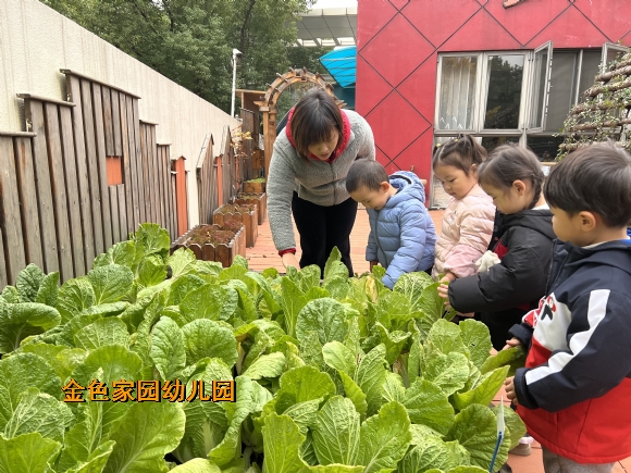 附件：1165dadabdc18ed2c4b535fed389cbd.jpg