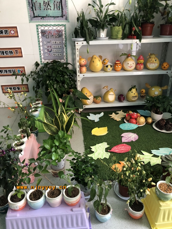 附件：QQ图片20181008231115.jpg