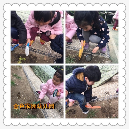 附件：1.jpg