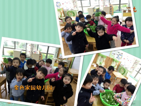 附件：4.jpg