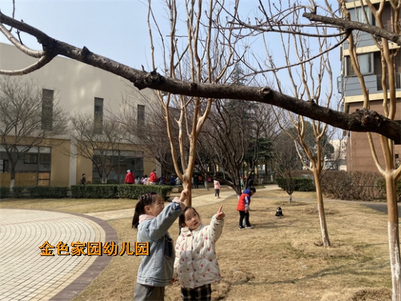 附件：IMG_5570.jpg