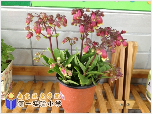 建邺教育信息网