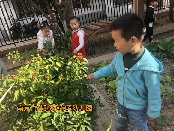 附件：conew_img_3019.jpg