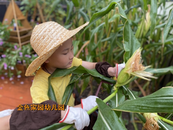 附件：IMG_2871.JPG