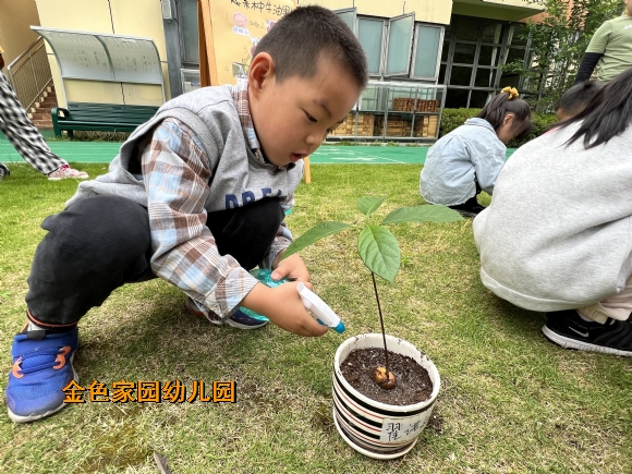 附件：IMG_8112(20220513-162757).JPG