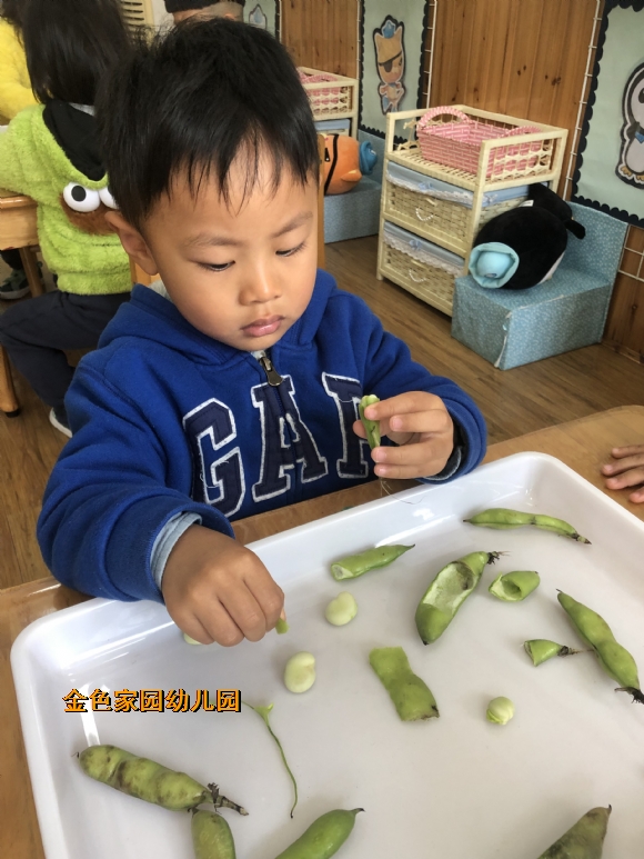 附件：IMG_9445.JPG
