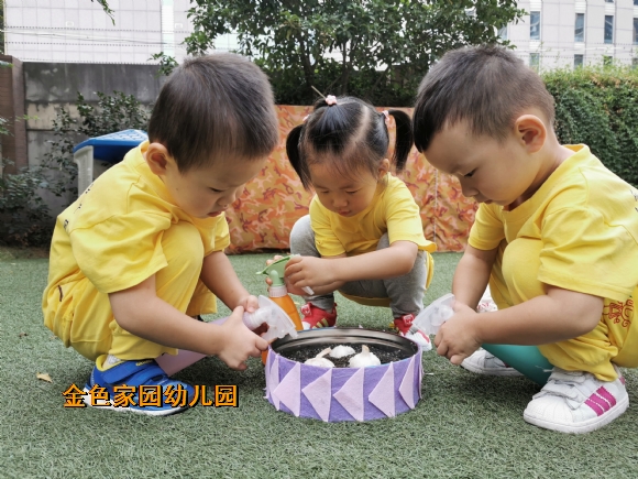 附件：IMG_20190909_094255.jpg