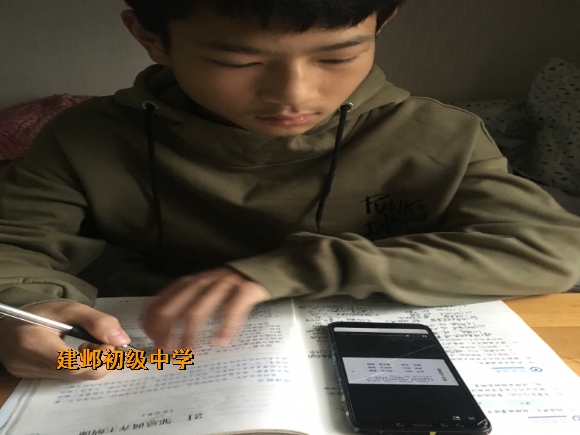 附件：苗子洋.png