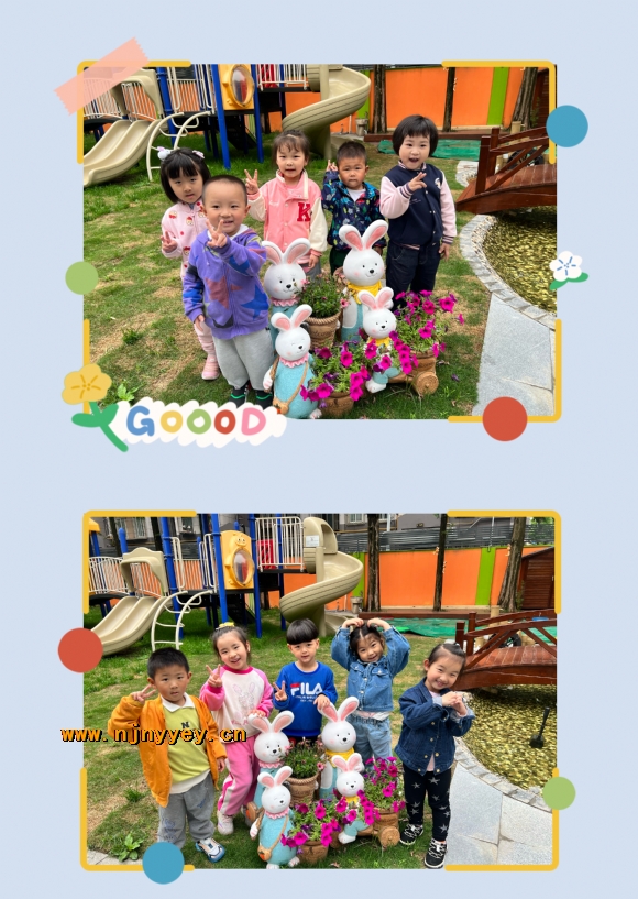 附件：IMG_8451(20230509-190308).JPG