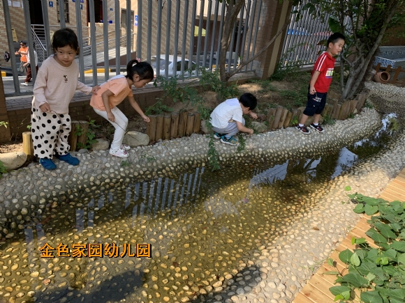 附件：IMG_2748.JPG