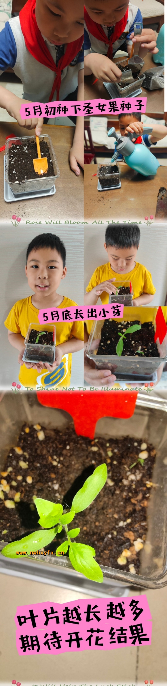 附件：d251cb0b1baa851e7fa4da952b4210e4.jpg