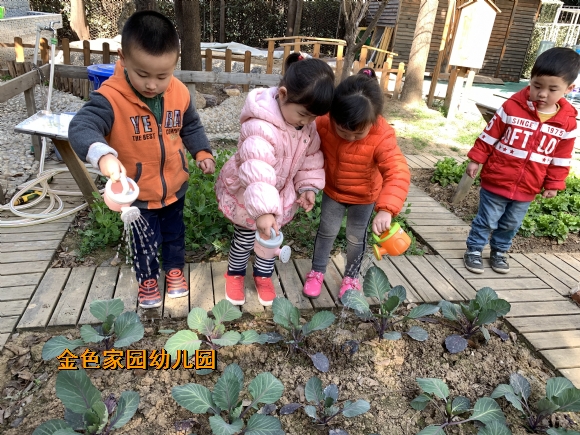 附件：IMG_1988.JPG