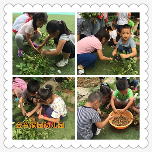 附件：11.jpg