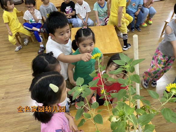 附件：29.1.jpg