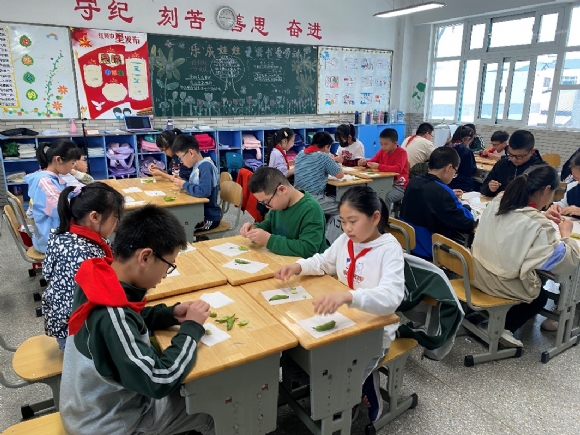 附件：图片1.png