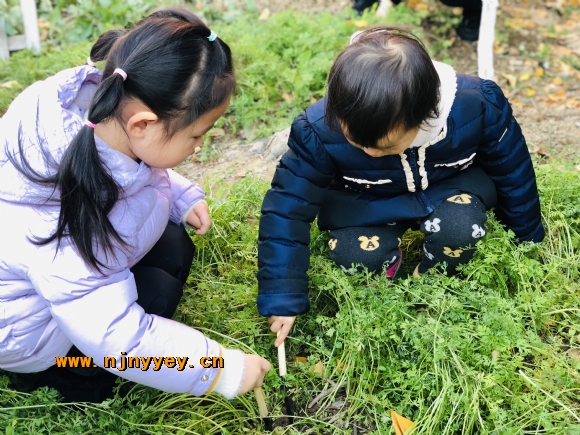 附件：IMG_0373.JPG