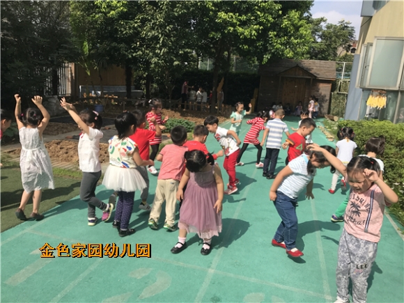 附件：IMG_7773.JPG