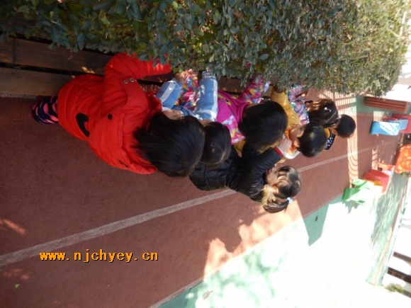 附件：conew_dscn0842.jpg
