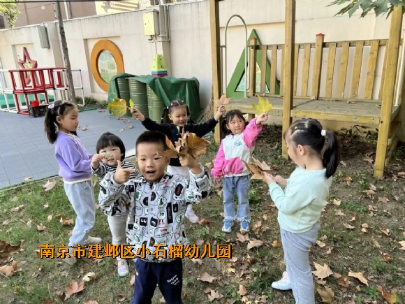 附件：mmexport1706065067125.jpg
