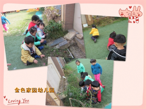 附件：IMG_4573_鍓湰.jpg