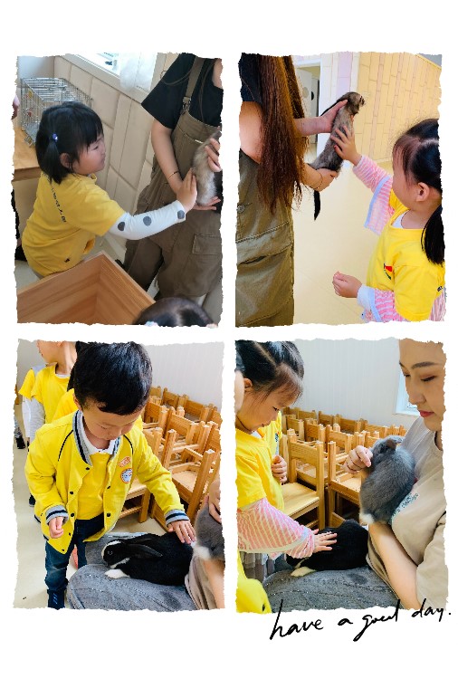 微信图片_20190530160238.jpg
