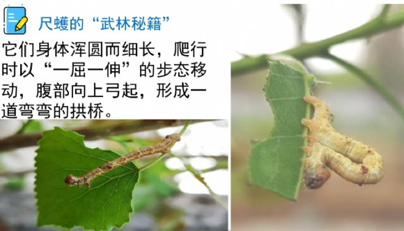 附件：4.png