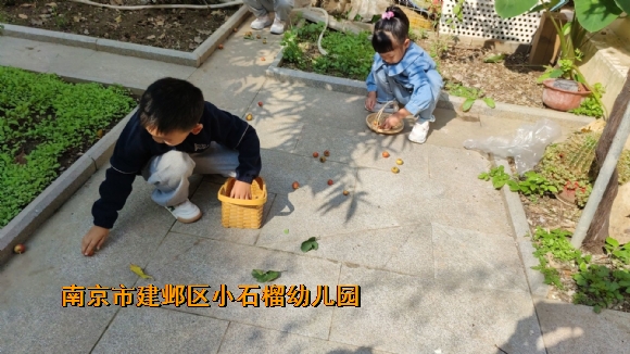 附件：QQ图片20240124104409.jpg