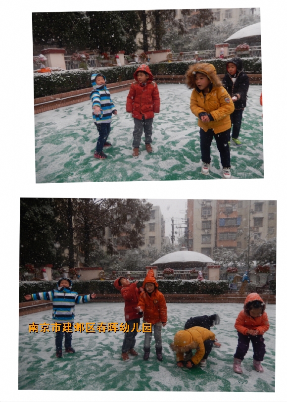 附件：IMG_2131.JPG
