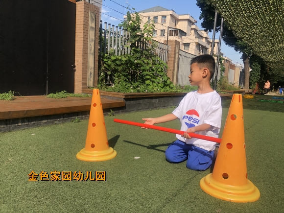 附件：IMG_7801.JPG