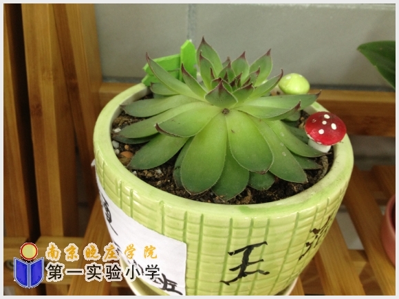 建邺教育信息网