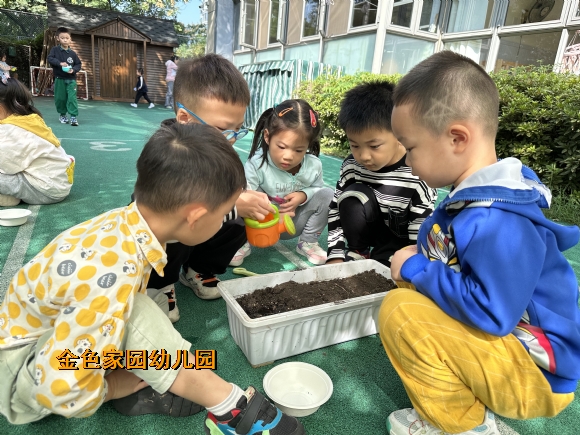附件：IMG_0497.JPG