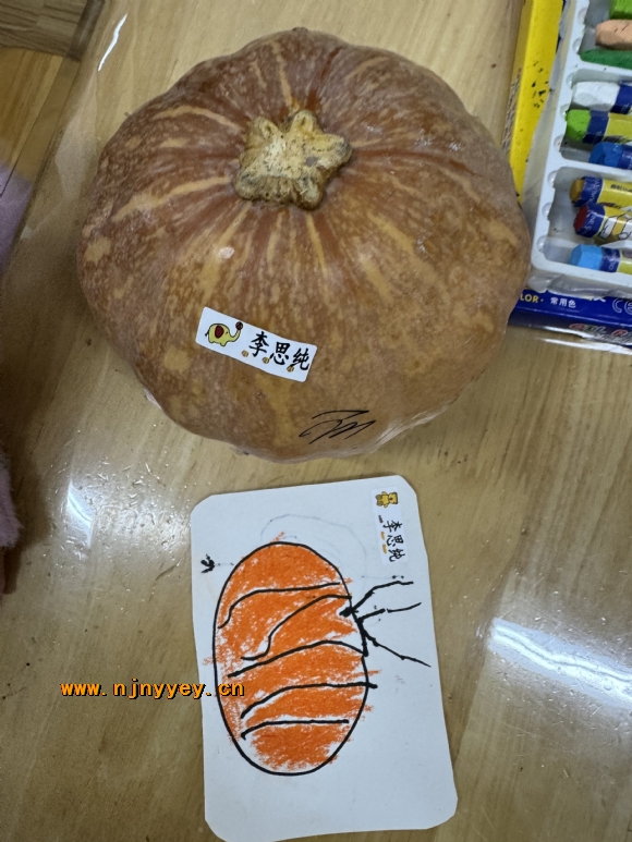 附件：IMG_1196.JPG