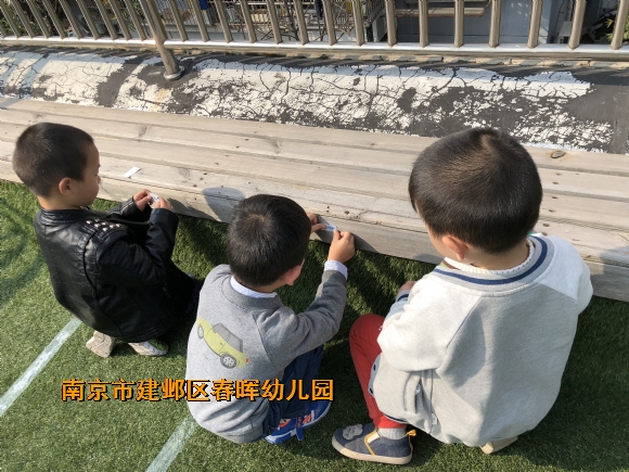 附件：IMG_2682.JPG