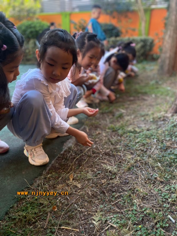 附件：1931ED1916F90FADD84AB6D8DACDF0F8.png