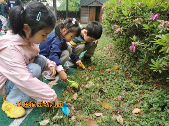 附件：IMG_20220427_094522.jpg