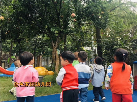 附件：1.JPG