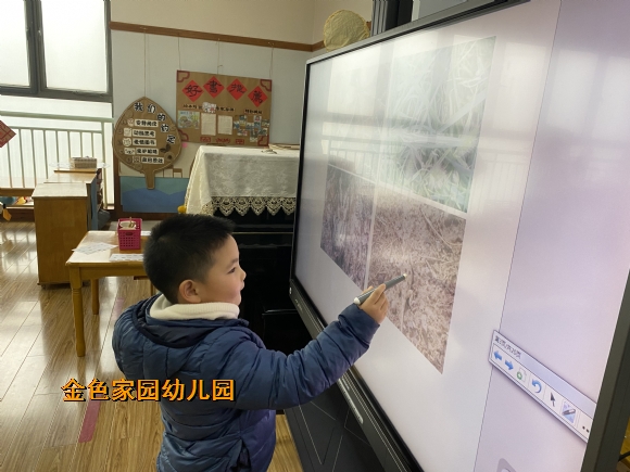 附件：IMG_6075.JPG